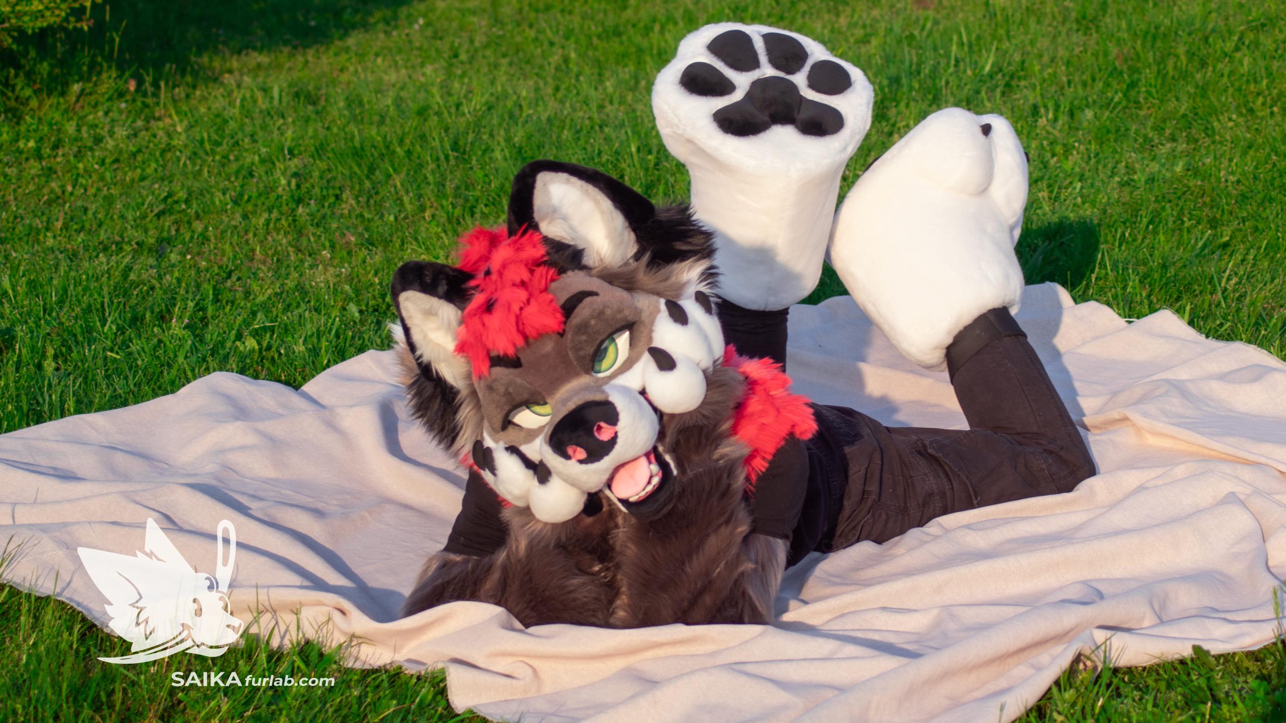 DSC06212-1